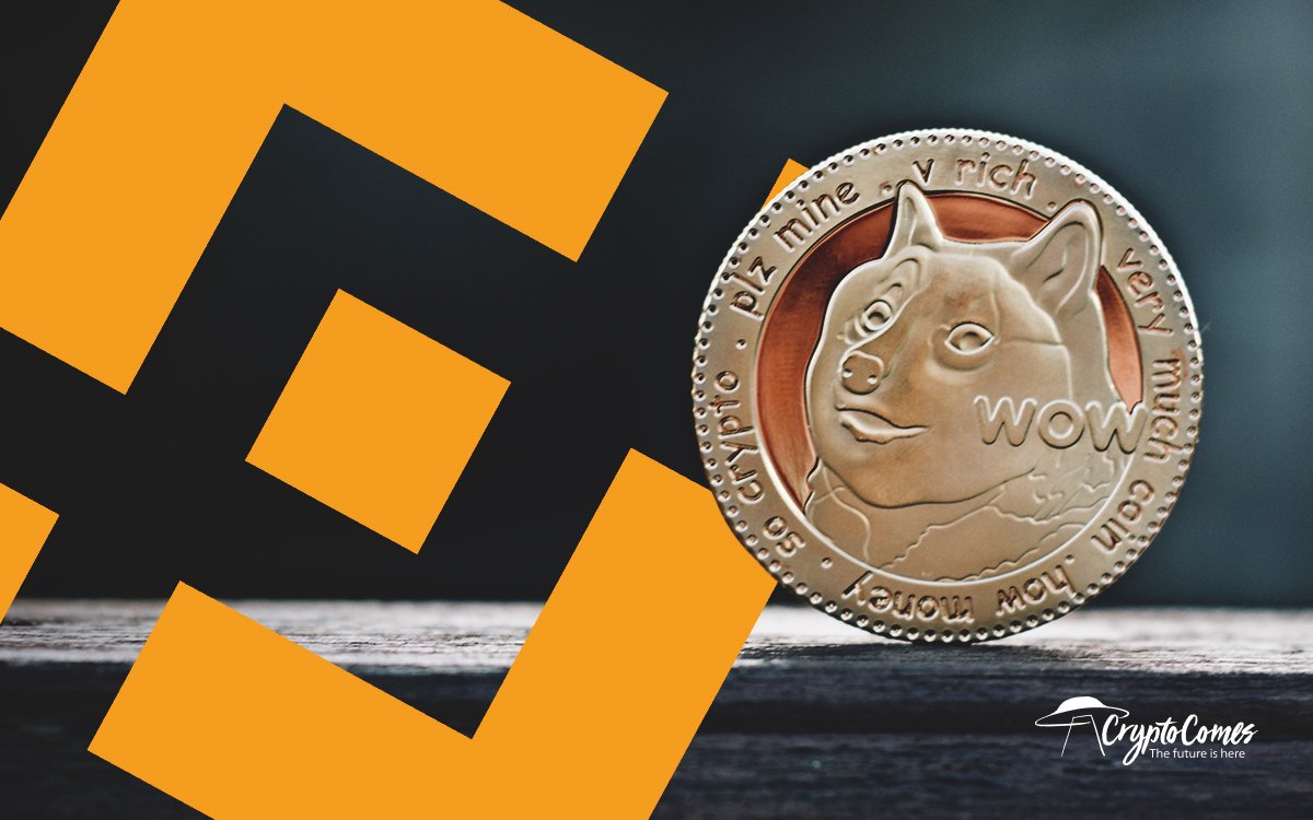 which dogecoin to buy on binance