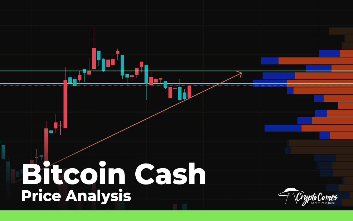 why is bch bitcoin cash increasing in value