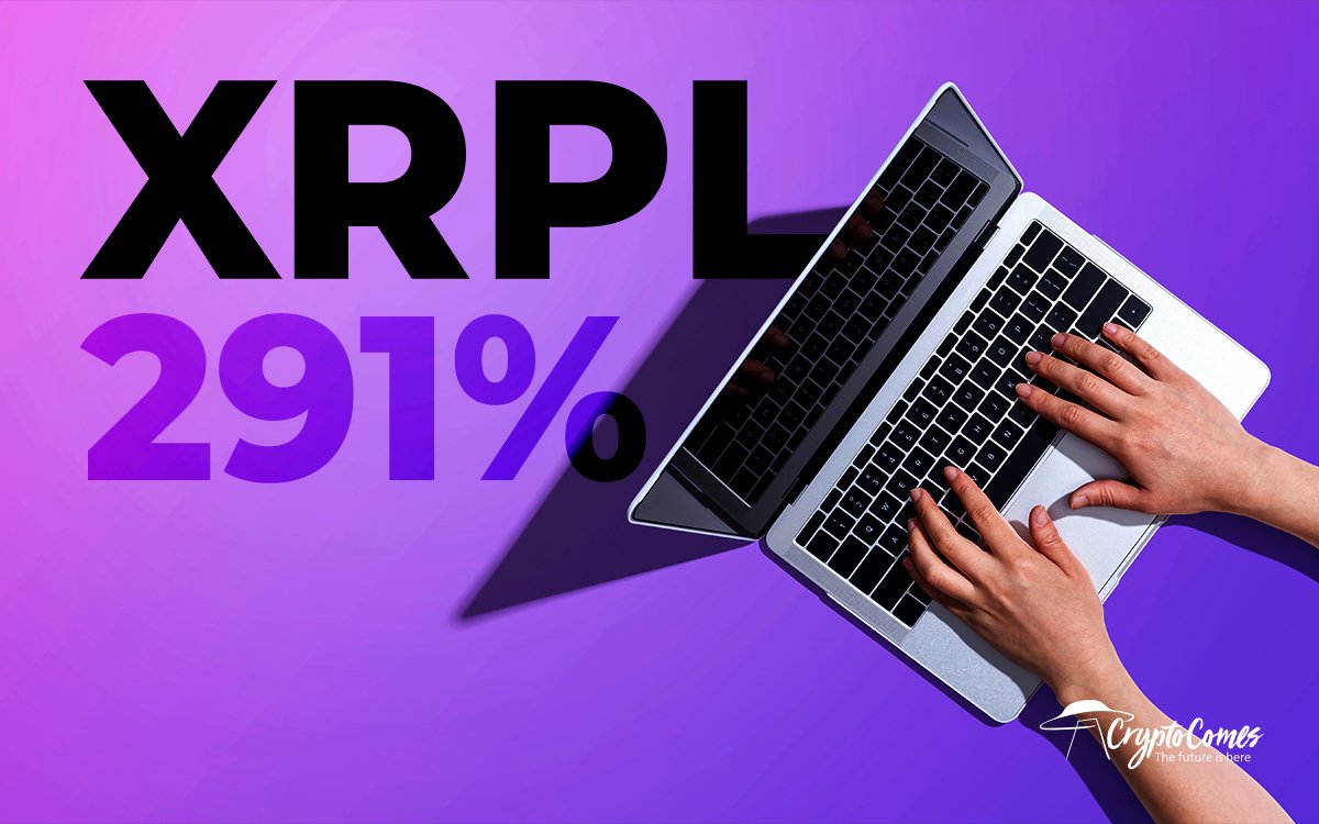 XRPL Daily New Accounts Volume Up 291 Since July
