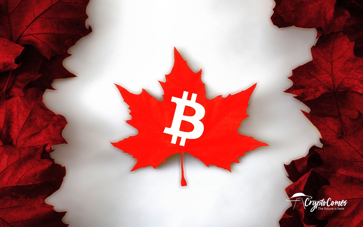 btc group canada