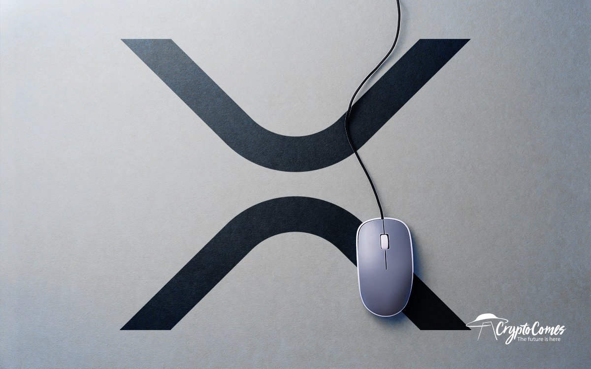 XRP Holders Can Now Check Suspicious Transactions in a Click. Here's How