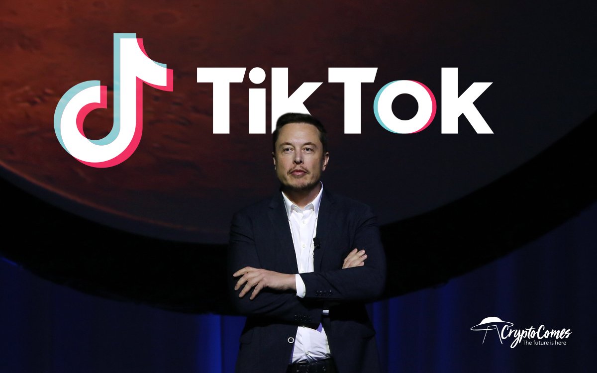 TikTok Influencers Start Shilling XRP "Your Moment to Be Elon Musk"