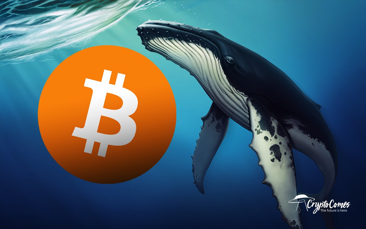 Bitcoin (BTC) Whales Keep Depositing On Exchanges Despite Billions ...