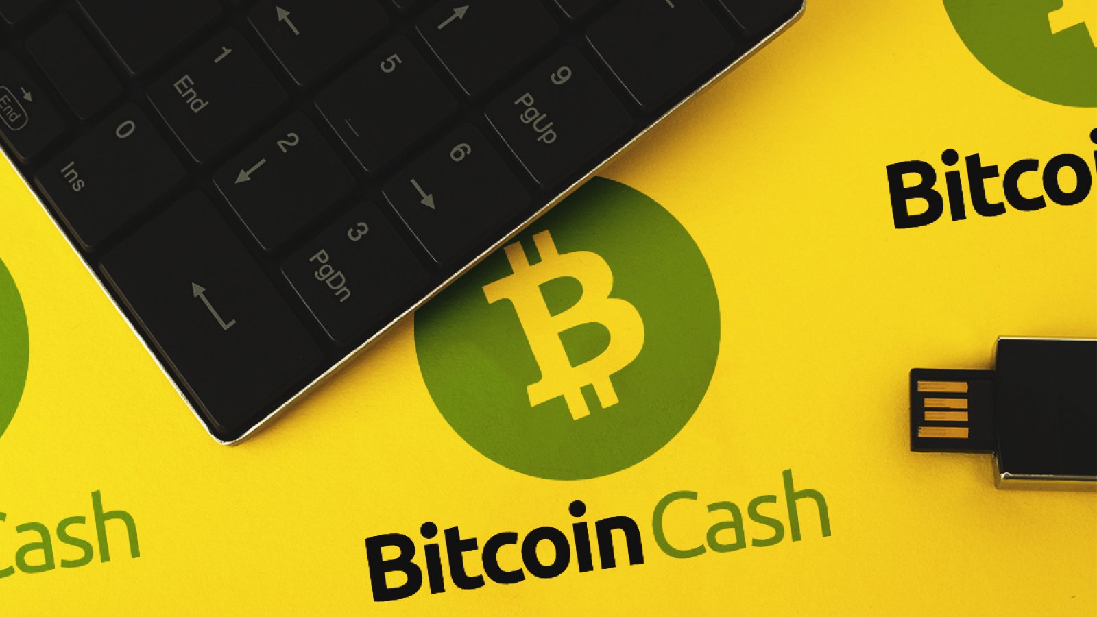 Bitcoin cash end of 2019