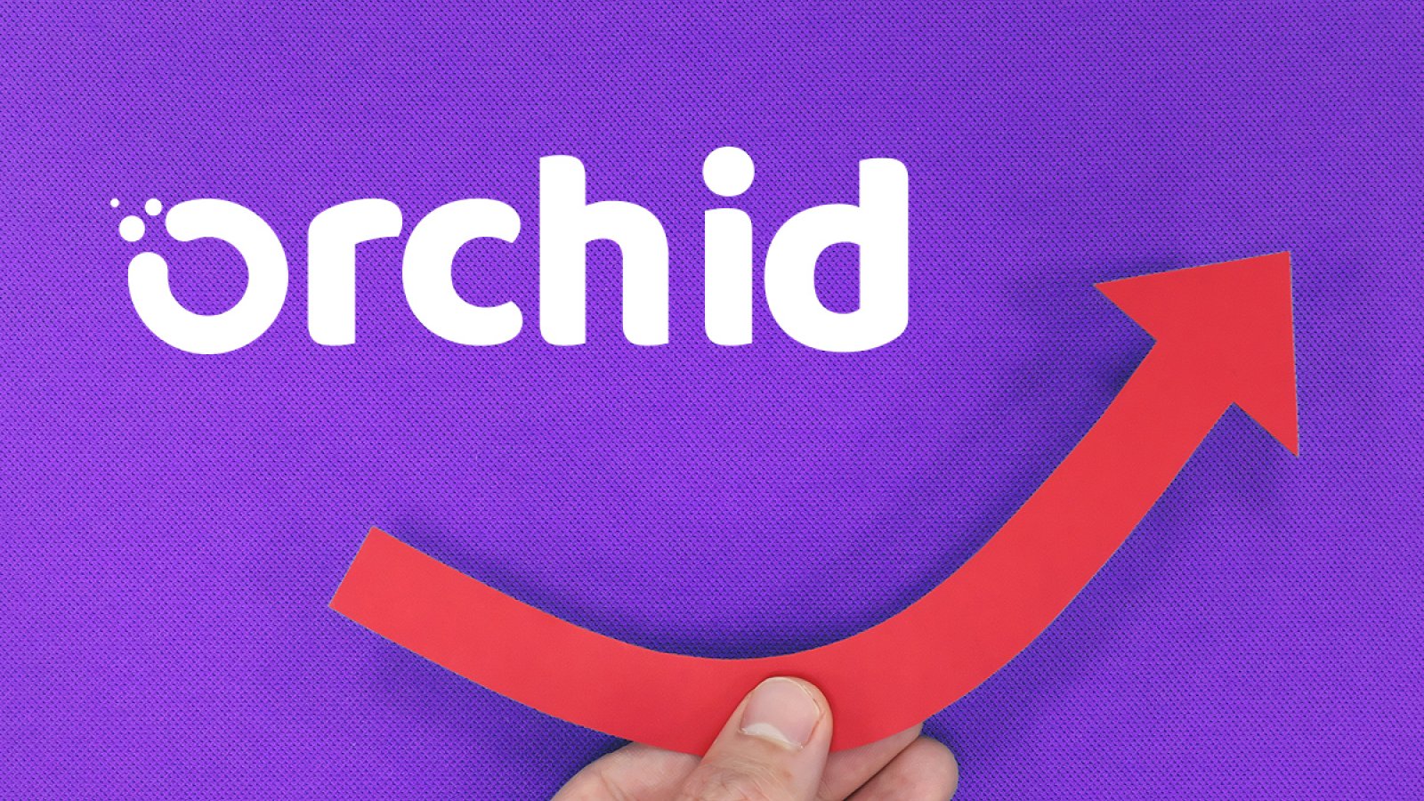 Orchid Protocol (OXT) Surges 118% in 24 Hours. Another Pump?