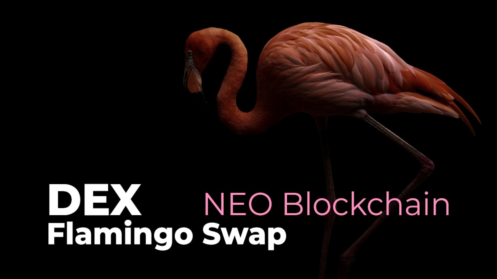 First DEX Flamingo Swap Launches on NEO Blockchain. And What About FLM?