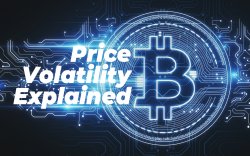 What Can Impact the Bitcoin Price? What Can Impact the Bitcoin Price?