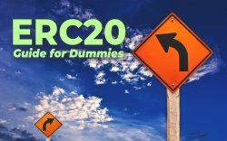The ERC20 Tokens Guide The ERC20 Tokens Guide