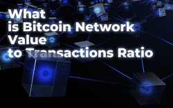 What is Bitcoin Network Value to Transactions (NVT) Ratio? What is Bitcoin Network Value to Transactions (NVT) Ratio?