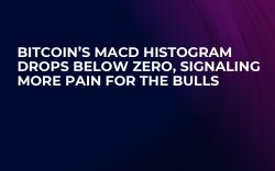 Bitcoin’s MACD Histogram Drops Below Zero, Signaling More Pain for the Bulls Bitcoin’s MACD Histogram Drops Below Zero, Signaling More Pain for the Bulls