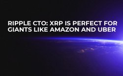 Ripple CTO: XRP Is Perfect for Giants Like Amazon and Uber Ripple CTO: XRP Is Perfect for Giants Like Amazon and Uber