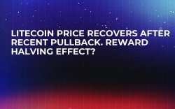 Litecoin Price Recovers After Recent Pullback. Reward Halving Effect? Litecoin Price Recovers After Recent Pullback. Reward Halving Effect?