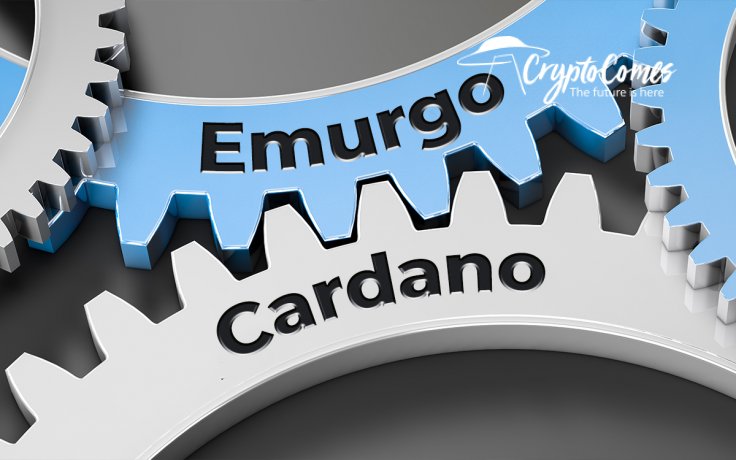 Name card