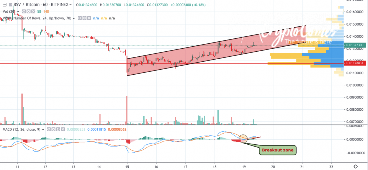 BSV/BTC chart by TradingView