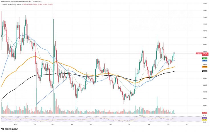 Cardano chart