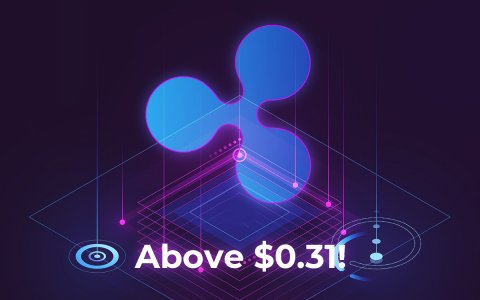 XRP Price Analysis — Struggling to Fix Above $0.31 XRP Price Analysis — Struggling to Fix Above $0.31